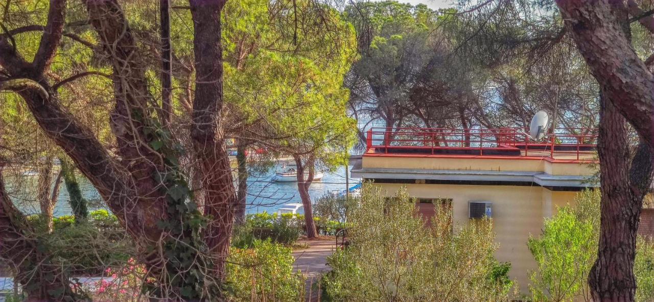Royal Apartment Zadar